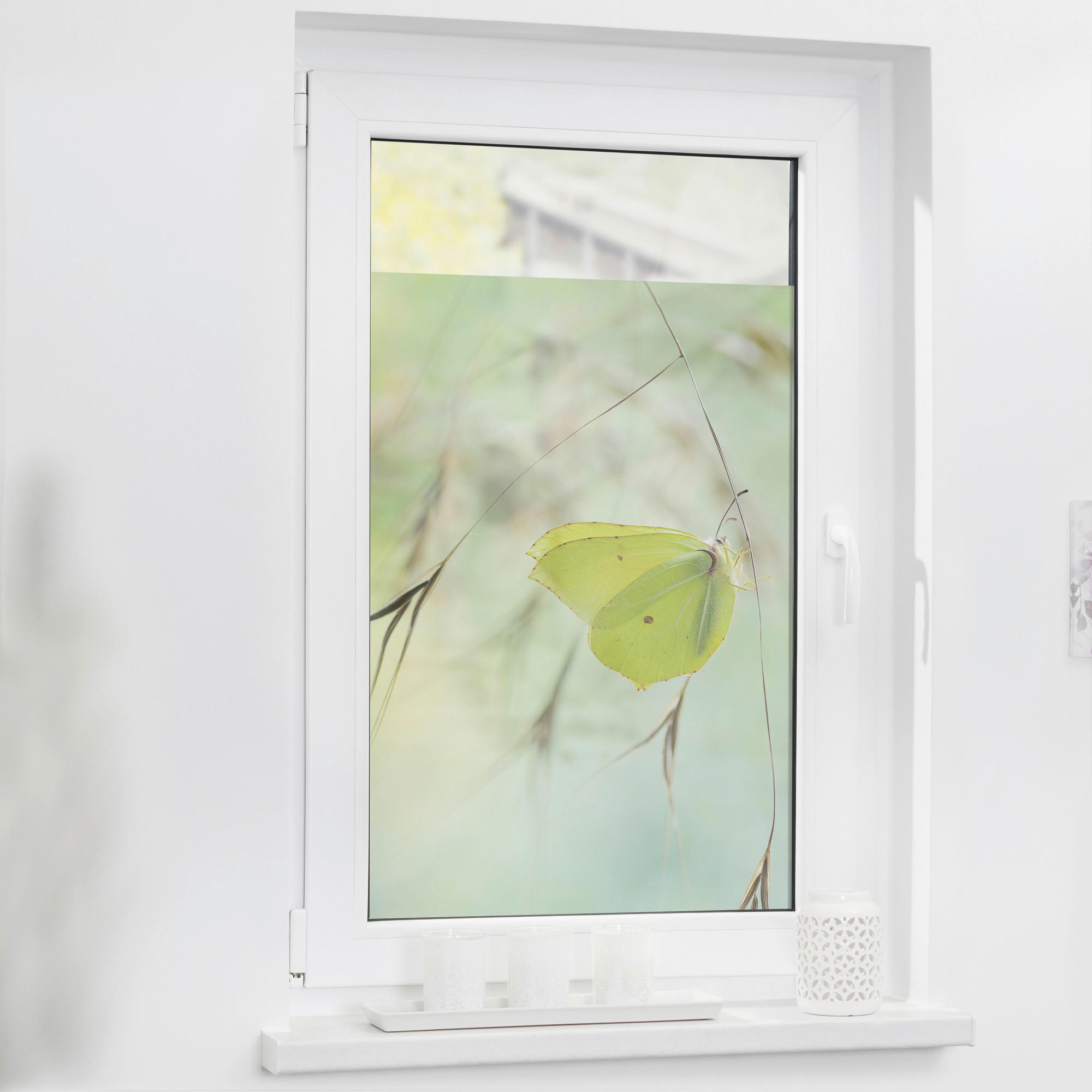 LICHTBLICK Fensterfolie Schmetterling Schmetterling Schmetterling grün B/L: ca. 50x50 cm Schmetterling - grün (50,00/50,00cm) - LICHTBLICK
