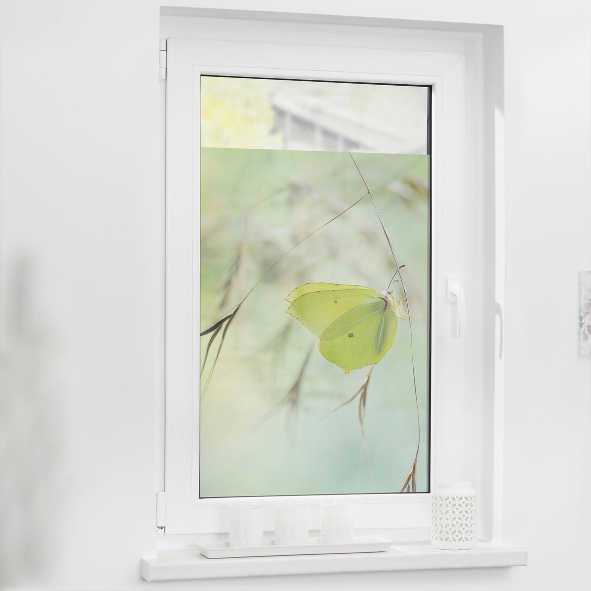 LICHTBLICK Fensterfolie Schmetterling Schmetterling Schmetterling grün B/L: ca. 50x50 cm Schmetterling - grün (50,00/50,00cm) - LICHTBLICK