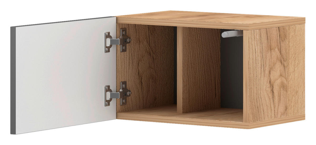 Wohnwand Barcelona Craft Eiche Nachbildung Graphit B/H/T: ca. 40x25x18 cm Barcelona - Craft/Graphit (40,00/25,00/18,00cm) - WIPMEB