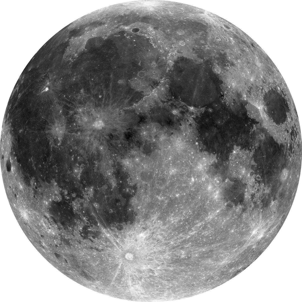 Komar Fototapete Moon D: ca. 125 cm Moon - (125,00cm) - Komar