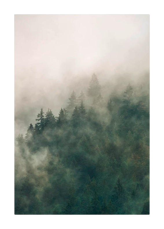 Komar Poster Tales of the Carpathians Wald B/L: ca. 50x70 cm Tales of the Carpathians - (50,00/70,00cm) - Komar