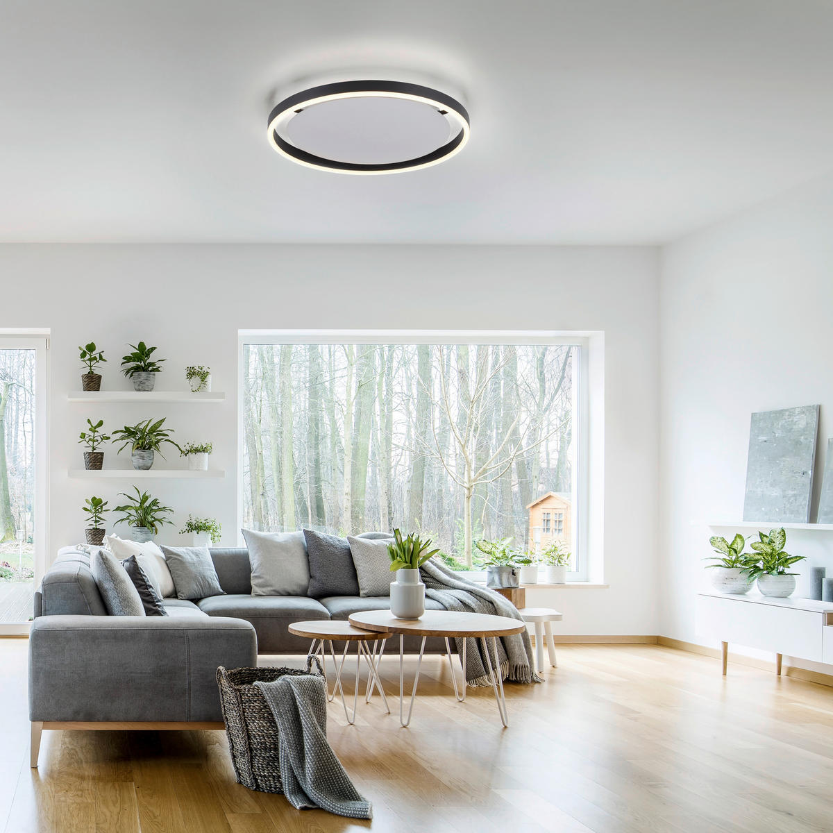 Just Light LED-Deckenleuchte RITUS 15391-13 weiß anthrazit Metall H/D: ca. 5,3x39,3 cm 1 Brennstellen RITUS - weiß/anthrazit (39,30/5,30cm) - Just Light