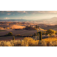Komar Fototapete Toskanagold B/L: ca. 400x250 cm Toskanagold - (400,00/250,00cm) - Komar