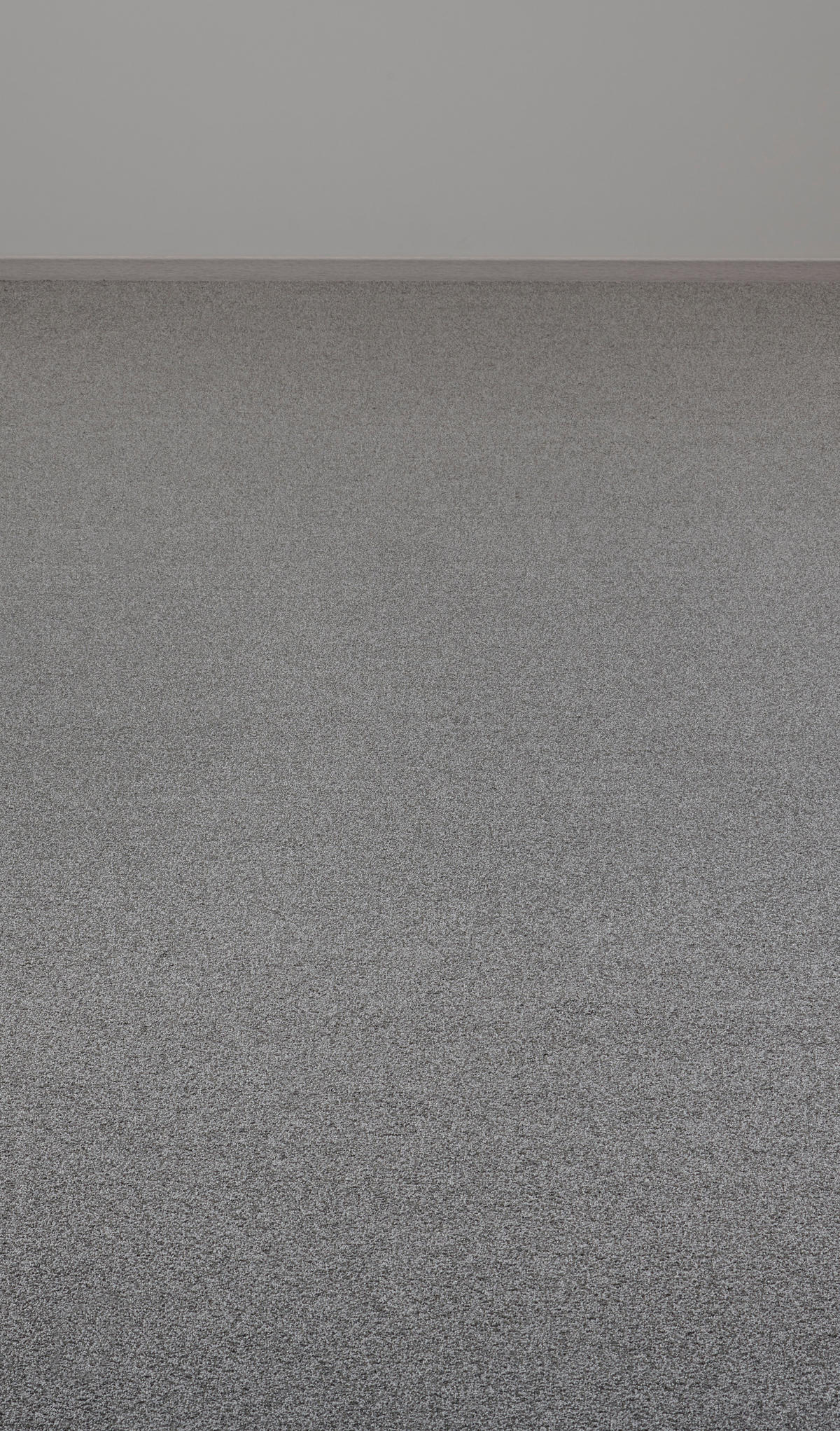 Teppichboden Focus grau B: ca. 400 cm pro m² Focus - grau (400,00cm)