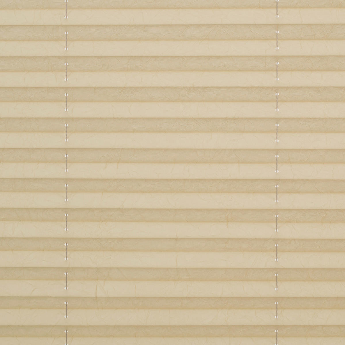 Spannplissee creme B/L: ca. 60x130 cm Plissee_Klemmfix - creme (60,00/130,00cm) - LICHTBLICK