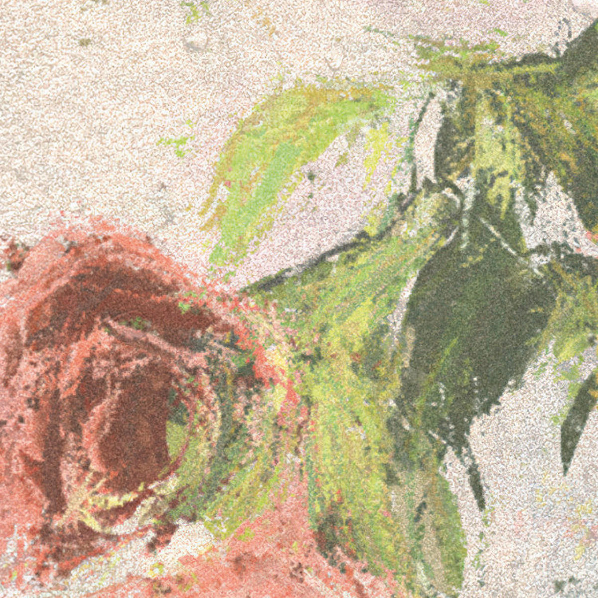 Komar Fototapete Wall Roses B/L: ca. 300x250 cm Wall Roses - (300,00/250,00cm) - Komar