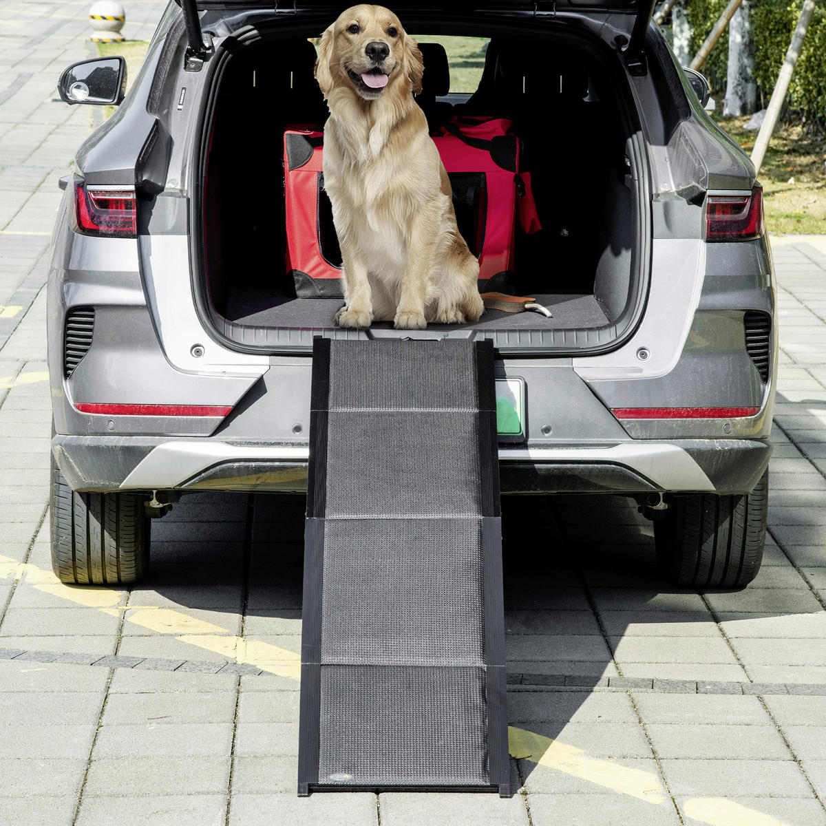 PawHut Klappbare Haustierrampe schwarz Aluminium B/H/L: ca. 43,5x158x2,5 cm Haustierrampe - schwarz (2,50/43,50/158,00cm) - PawHut