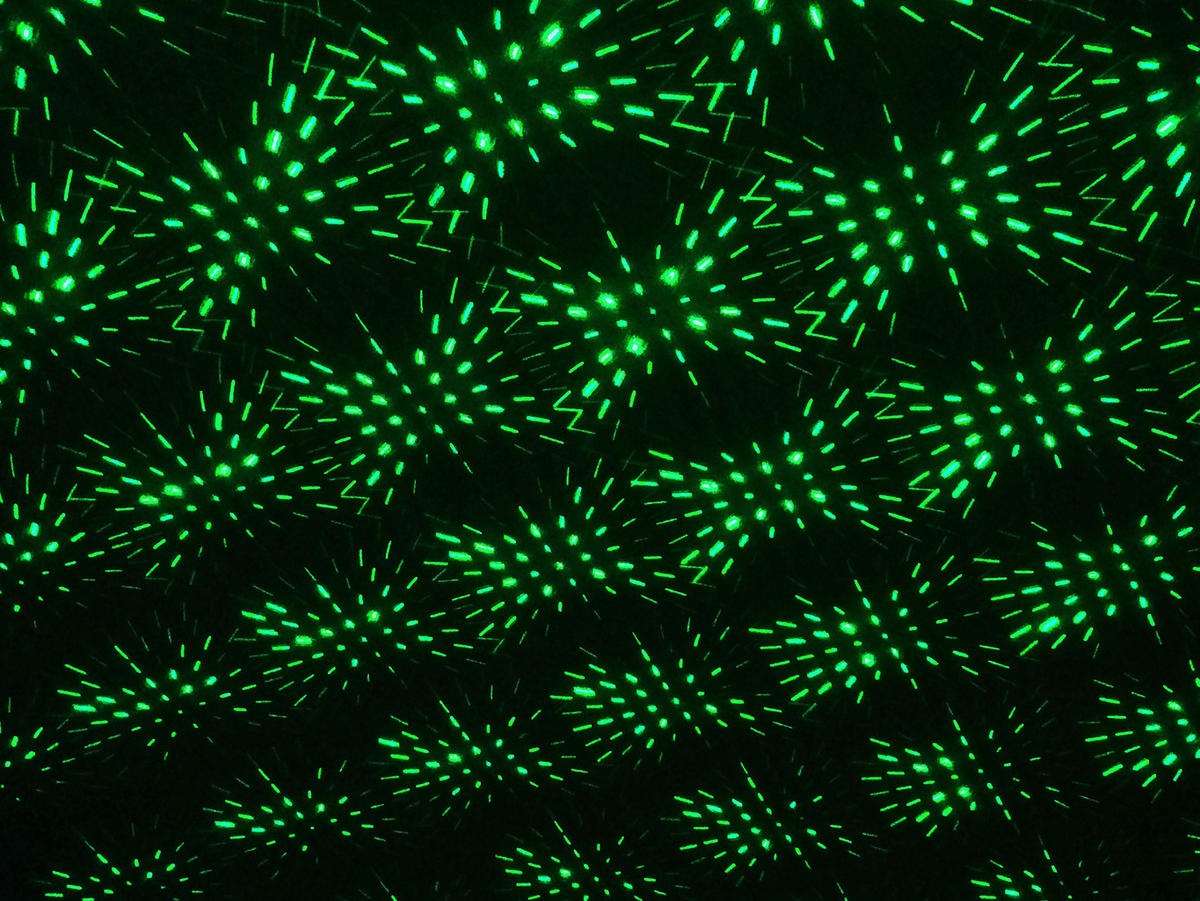 LED-Laser Erdspieß mit LED 5200861 H/D: ca. 40x10 cm LED Laser Erdspieß mit LED - (10,00/40,00cm) - Näve Leuchten