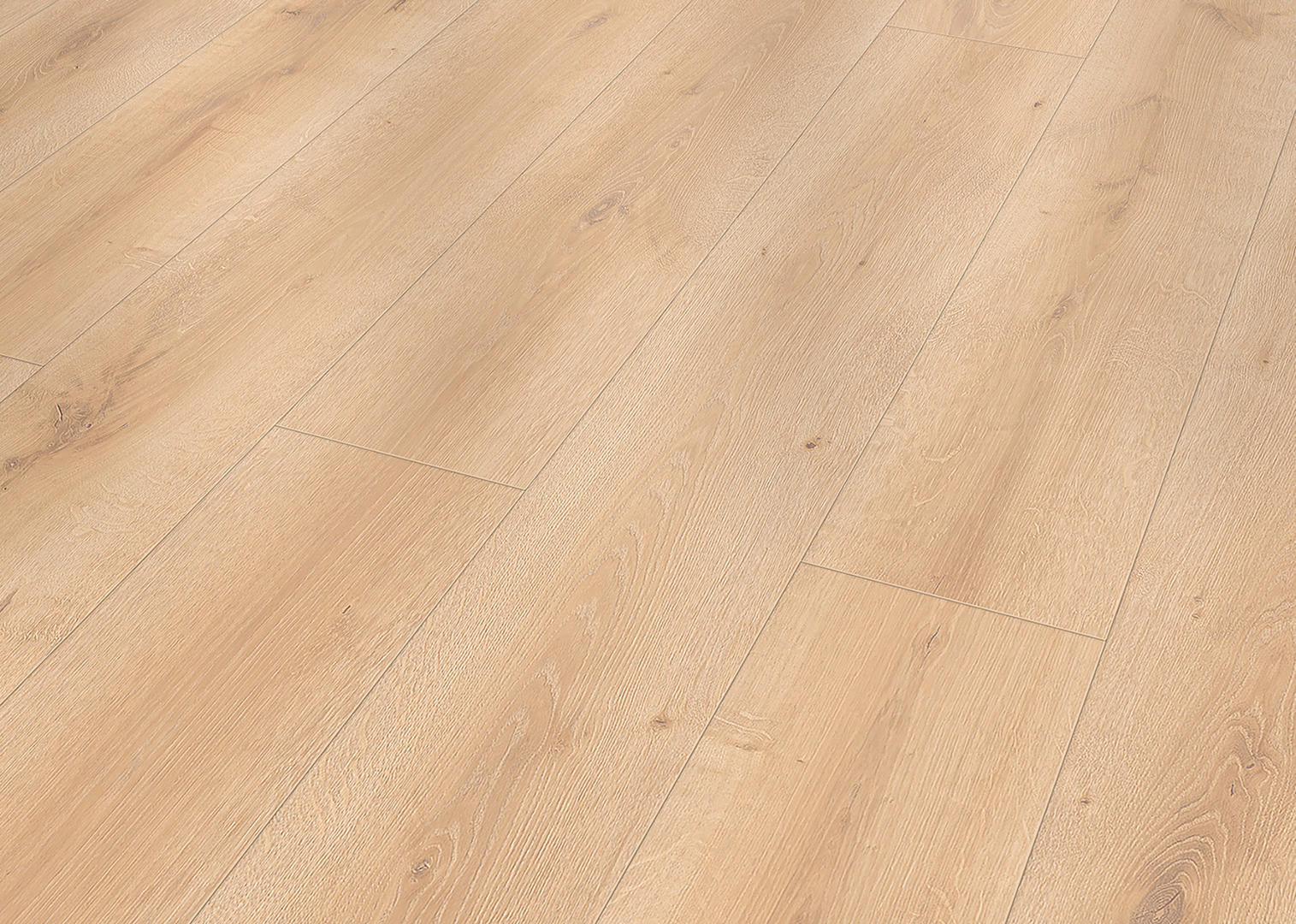 Musterstück natur B/L/S: ca. 19,4x30x0,8 cm Muster Laminat Oak light nature - natur (19,40/30,00cm)