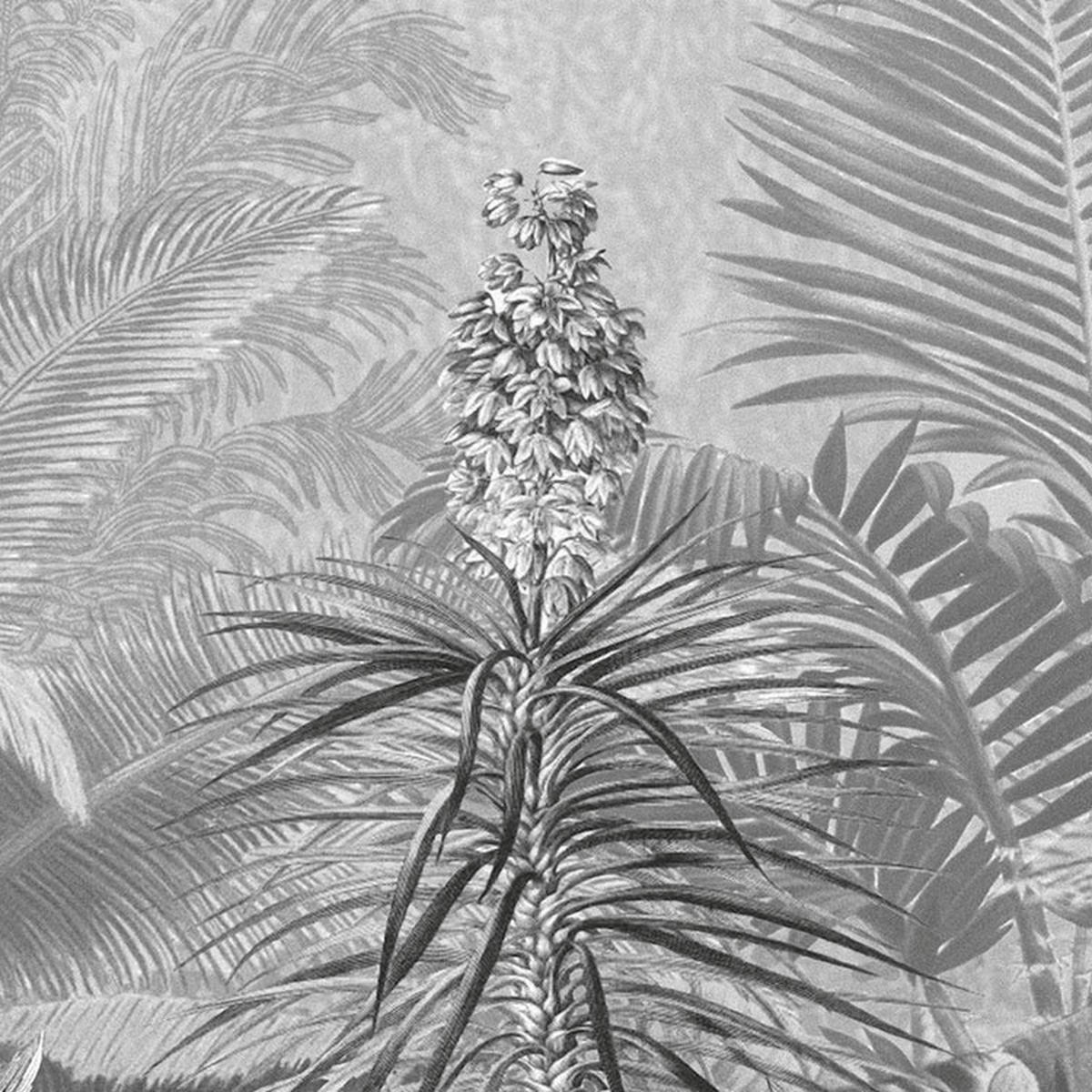 Komar Fototapete Amazonia Black & White B/L: ca. 400x250 cm Amazonia Black & White - (400,00/250,00cm) - Komar