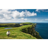 Komar Fototapete Green Ireland B/L: ca. 450x280 cm Green Ireland - (450,00/280,00cm) - Komar