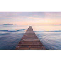 Komar Fototapete Peace B/L: ca. 400x250 cm Peace - (400,00/250,00cm) - Komar