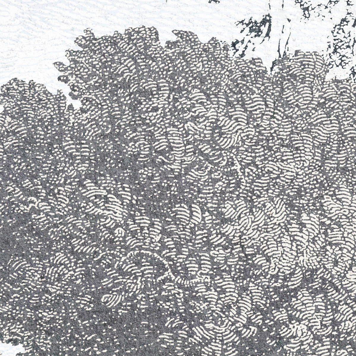 Komar Fototapete Fairytale Forest B/L: ca. 400x280 cm Fairytale Forest - (400,00/280,00cm) - Komar