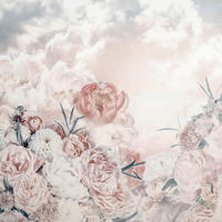 Komar Fototapete Blossom Clouds B/L: ca. 250x250 cm Blossom Clouds - (250,00/250,00cm) - Komar