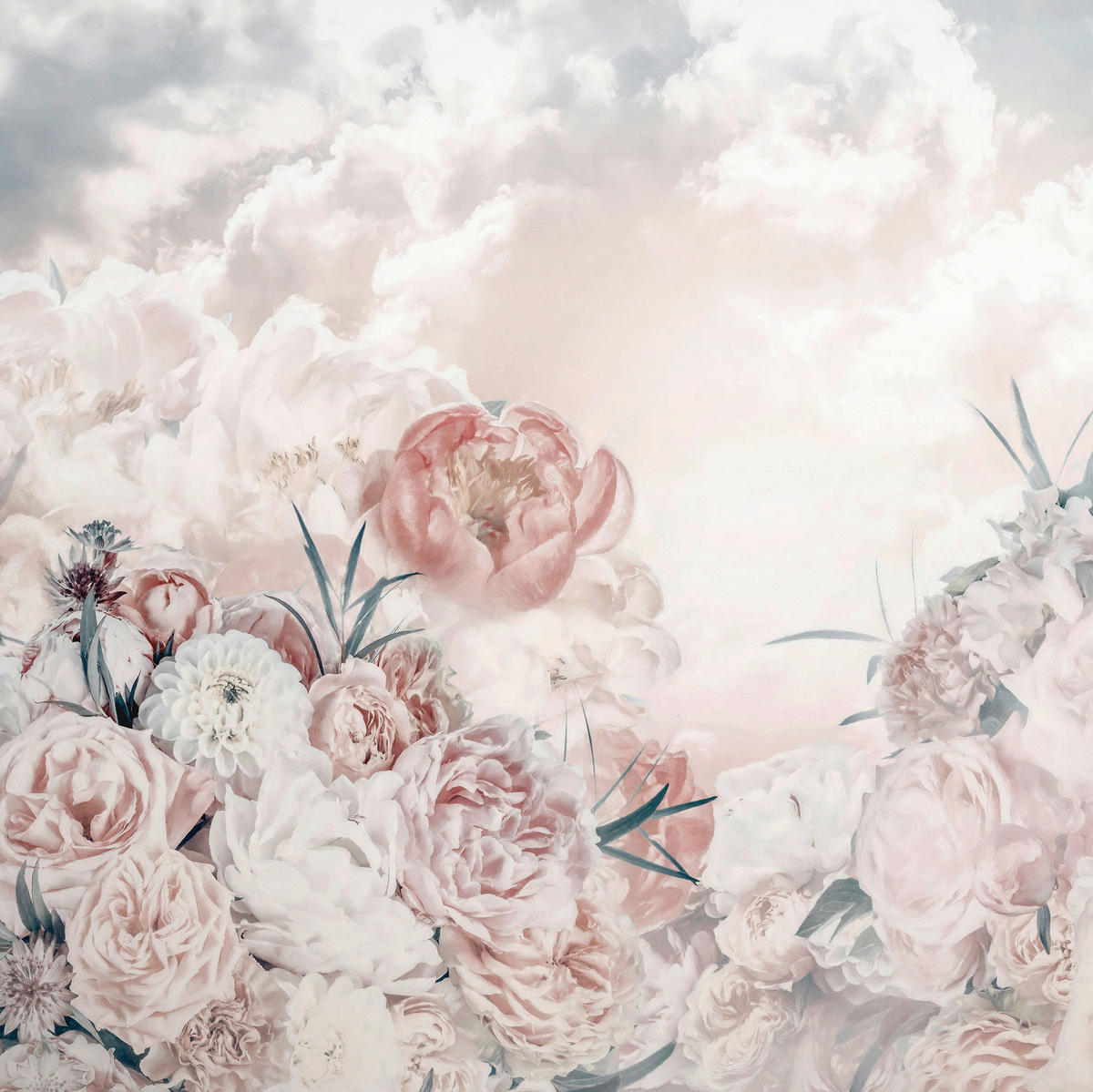 Komar Fototapete Blossom Clouds B/L: ca. 250x250 cm Blossom Clouds - (250,00/250,00cm) - Komar