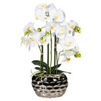 Orchidee weiß Kunststoff H: ca. 55 cm Orchidee - weiß (55,00cm)