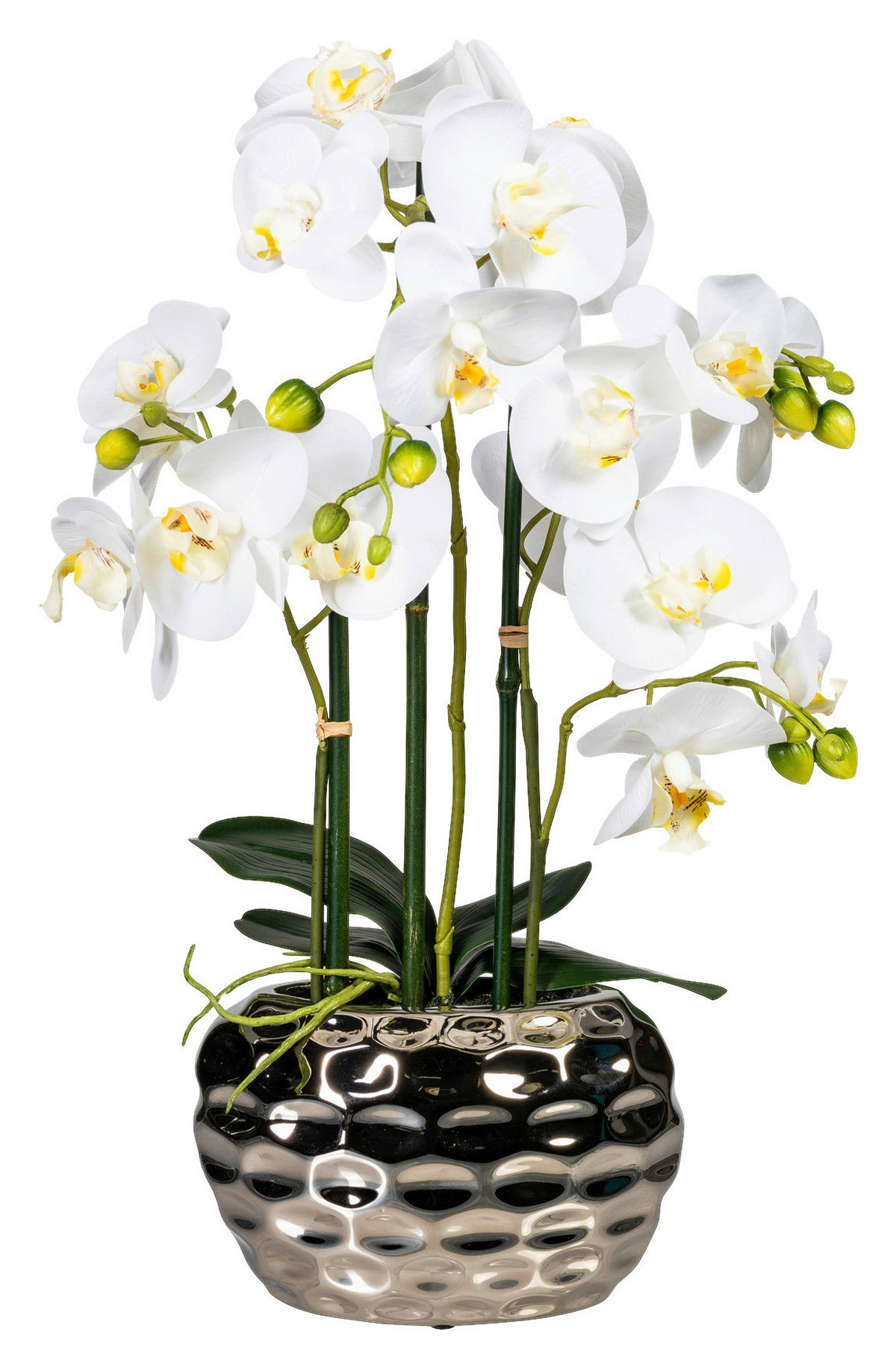Orchidee weiß Kunststoff H: ca. 55 cm Orchidee - weiß (55,00cm)