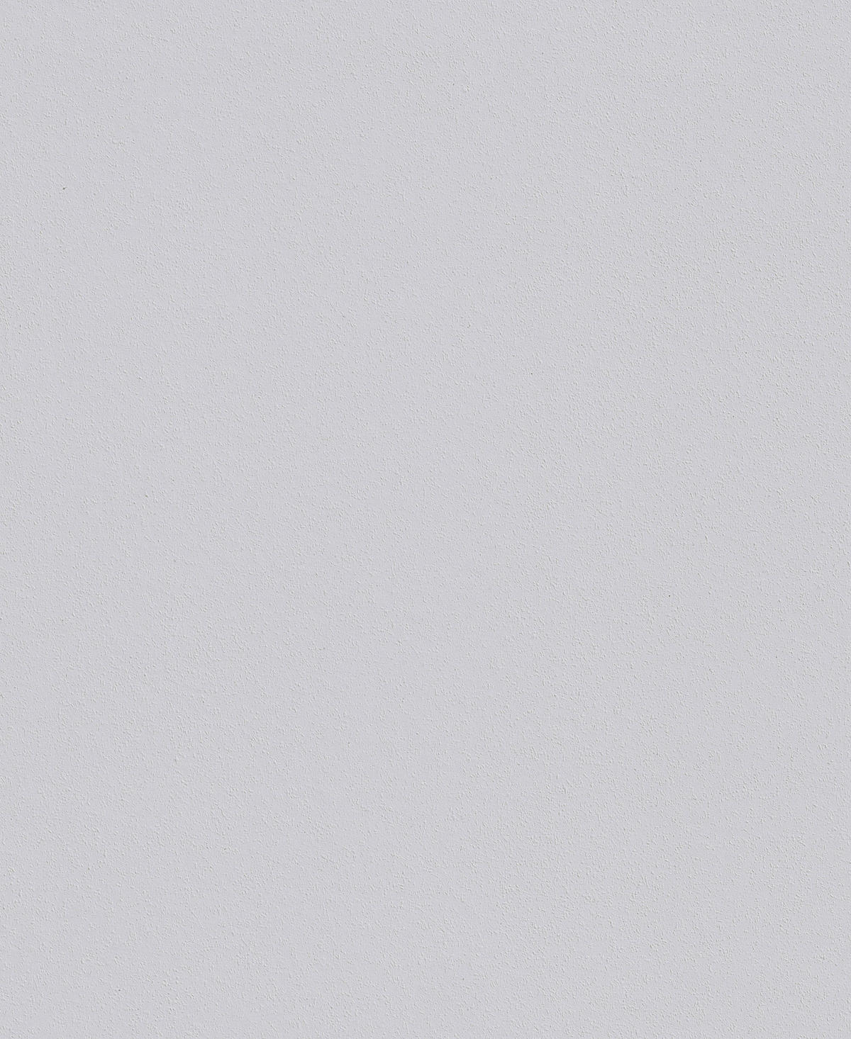 Erfurt Rauhfaser Viva weiß B/L: ca. 53x1500 cm Viva - weiß (53,00/1500,00cm) - Erfurt