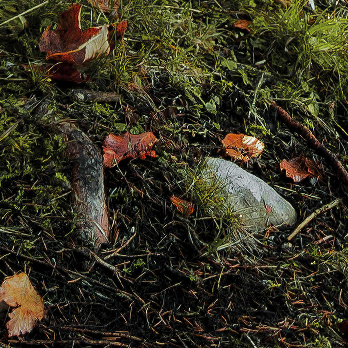 Komar Fototapete Feuerzungen B/L: ca. 450x280 cm Feuerzungen - (450,00/280,00cm) - Komar