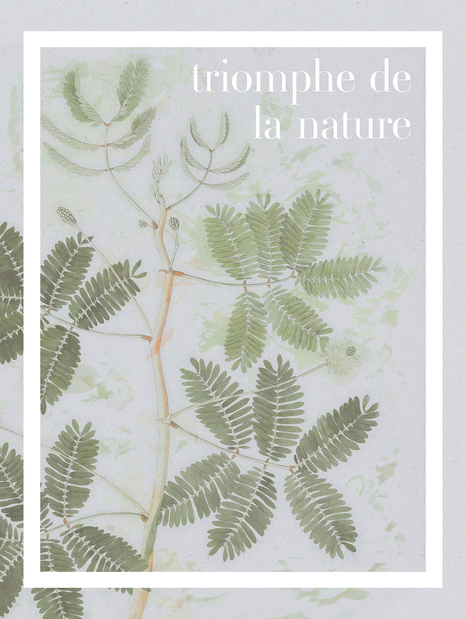 Komar Poster Triomphe de la nature Spruch B/L: ca. 30x40 cm