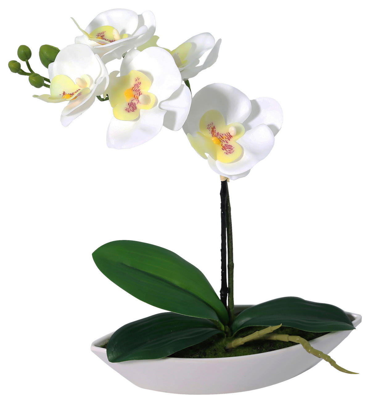 Orchidee weiß Kunststoff B/H/L: ca. 8x30x24 cm Orchidee - weiß (24,00/8,00/30,00cm)