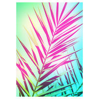 Komar Poster Shine Palmenblätter B/L: ca. 50x70 cm Shine - (50,00/70,00cm) - Komar