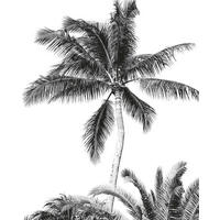 Komar Fototapete Retro Palm B/L: ca. 200x250 cm Retro Palm - (200,00/250,00cm) - Komar