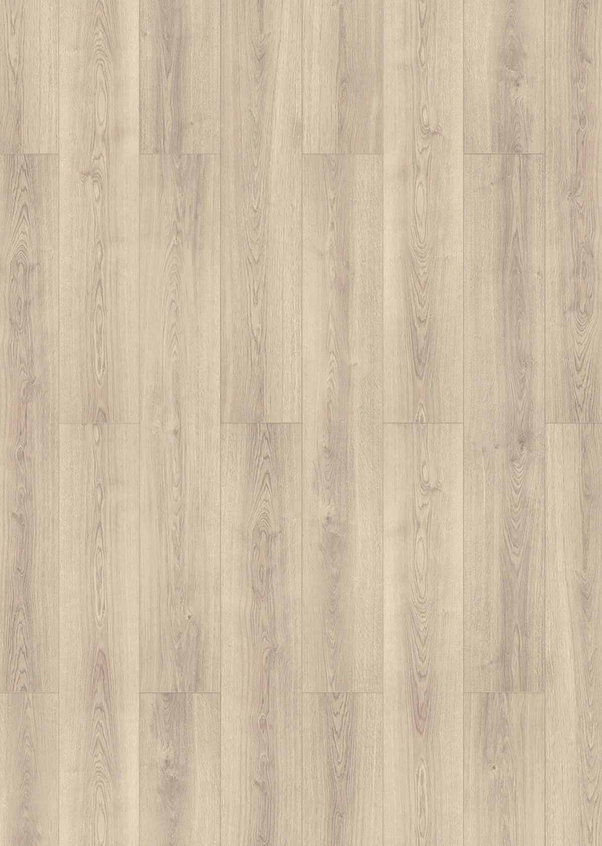 Musterstück grau B/L/S: ca. 19,4x30x0,8 cm Muster Laminat Oak light gray - grau (19,40/30,00cm)