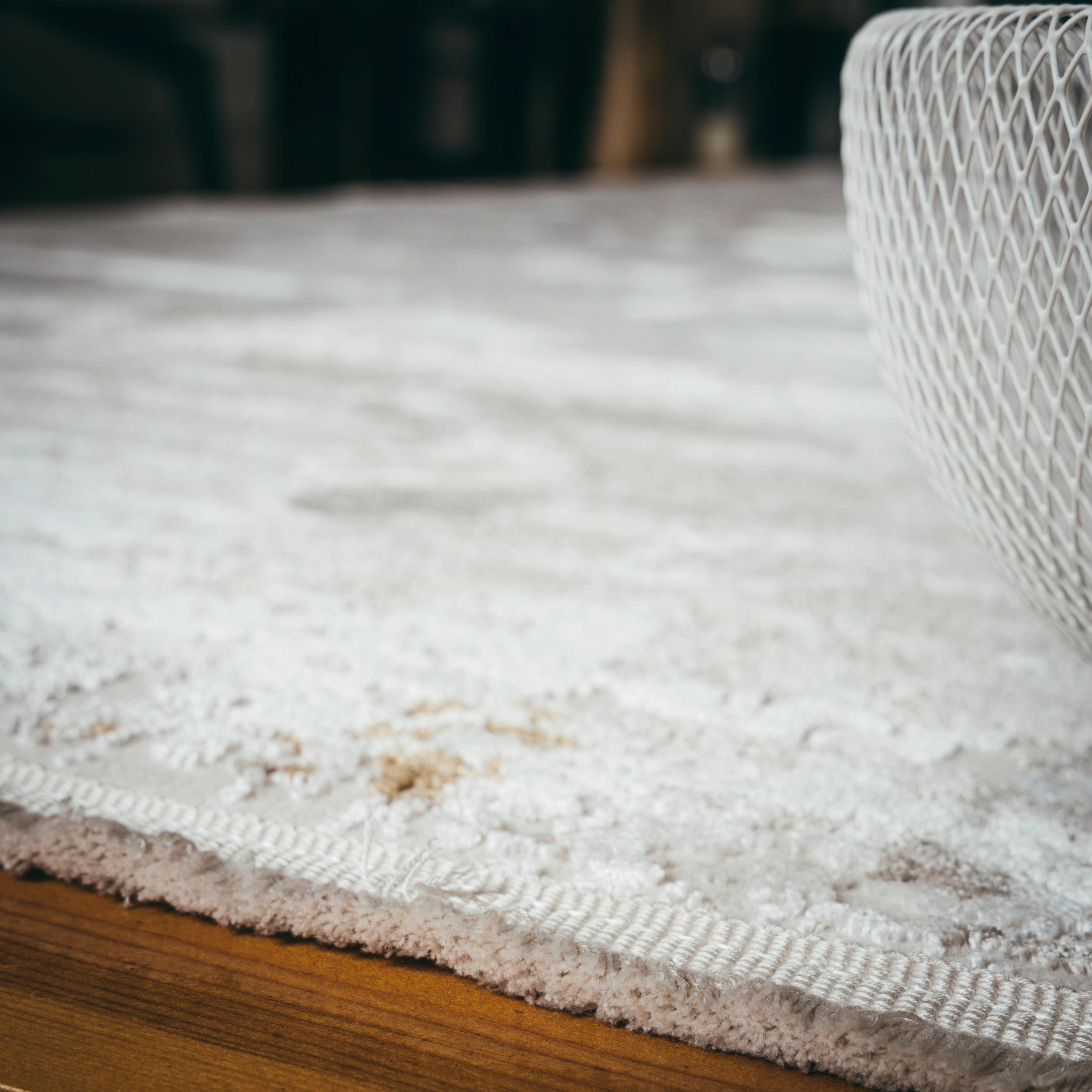 Obsession Teppich My Numinous taupe B/H/T/L/D: ca. 240x1x0x330x0 cm My Numinous - taupe (330,00/240,00/1,00cm) - Obsession