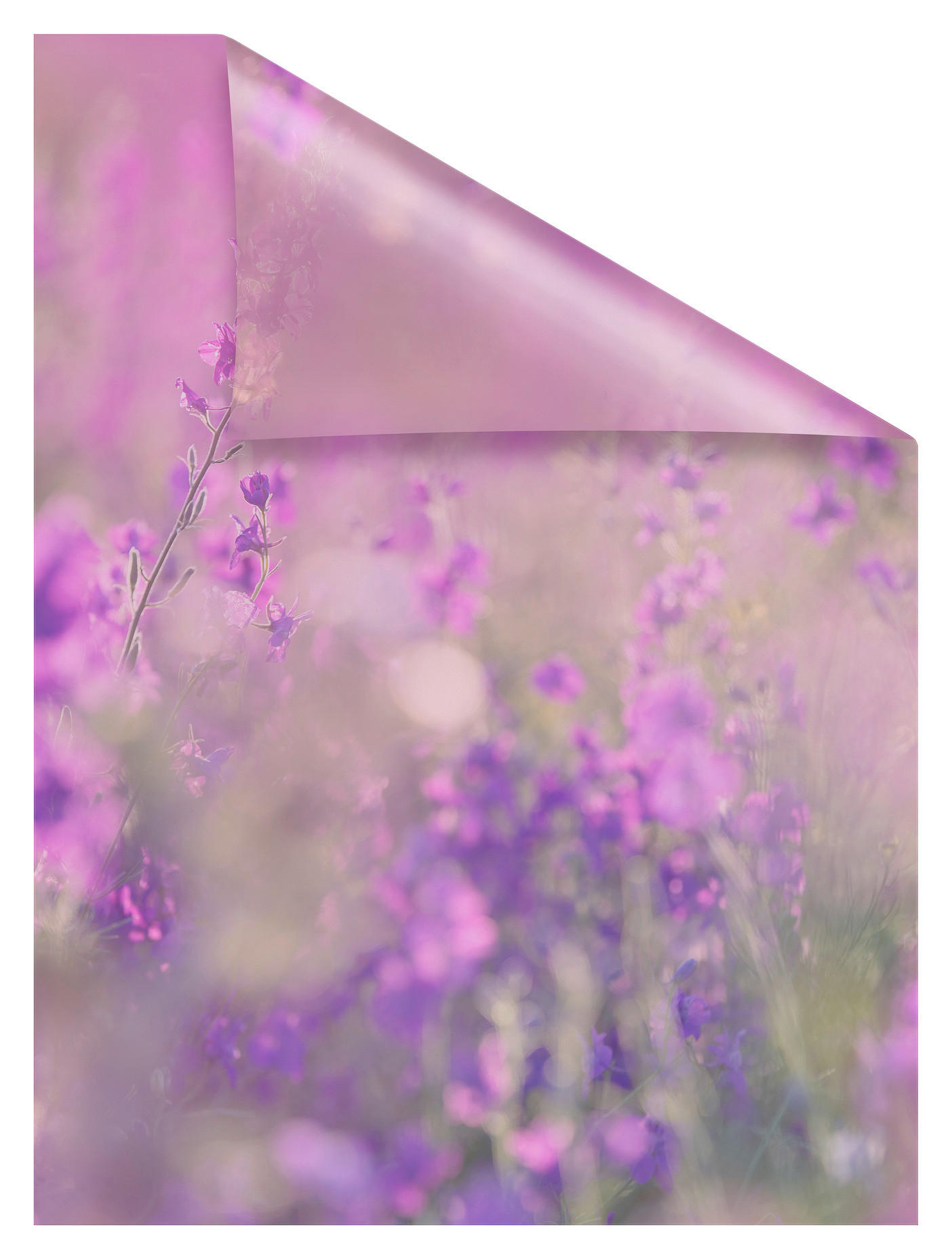 Thumbnail - LICHTBLICK Fensterfolie Blumenwiese Blumen Blumenwiese violett B/L: ca. 50x50 cm