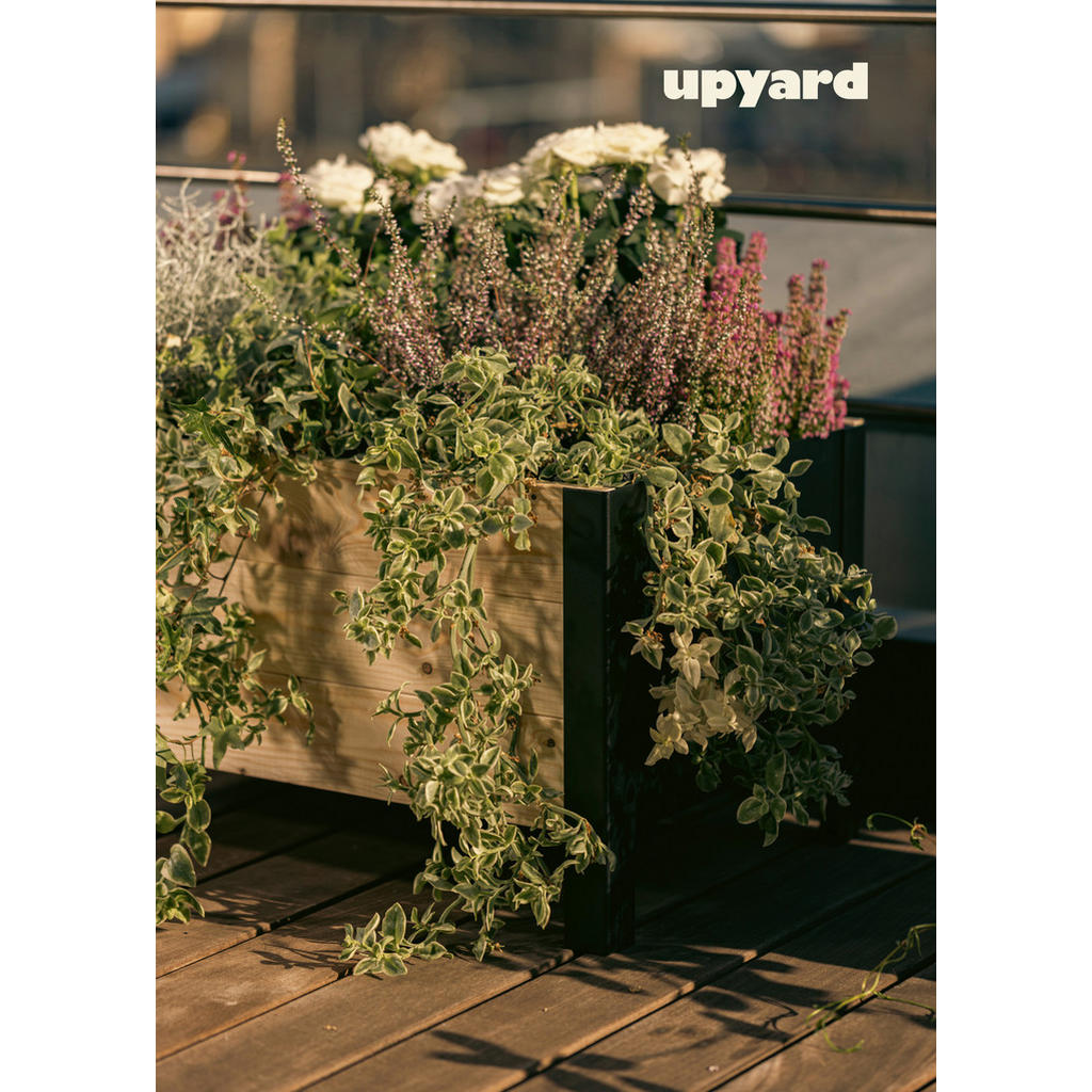 Thumbnail - UPYARD Hochbeet MODERN natur Holz B/H/L: ca. 36x32x58 cm