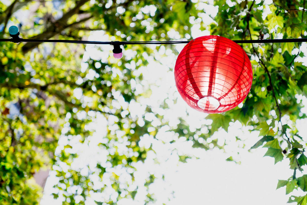 LED-Lichterkette 5243361 multicolor Kunststoff Metall L: ca. 300 cm LED Lichterkette LED Japanballon - multicolor (300,00cm) - Näve Leuchten