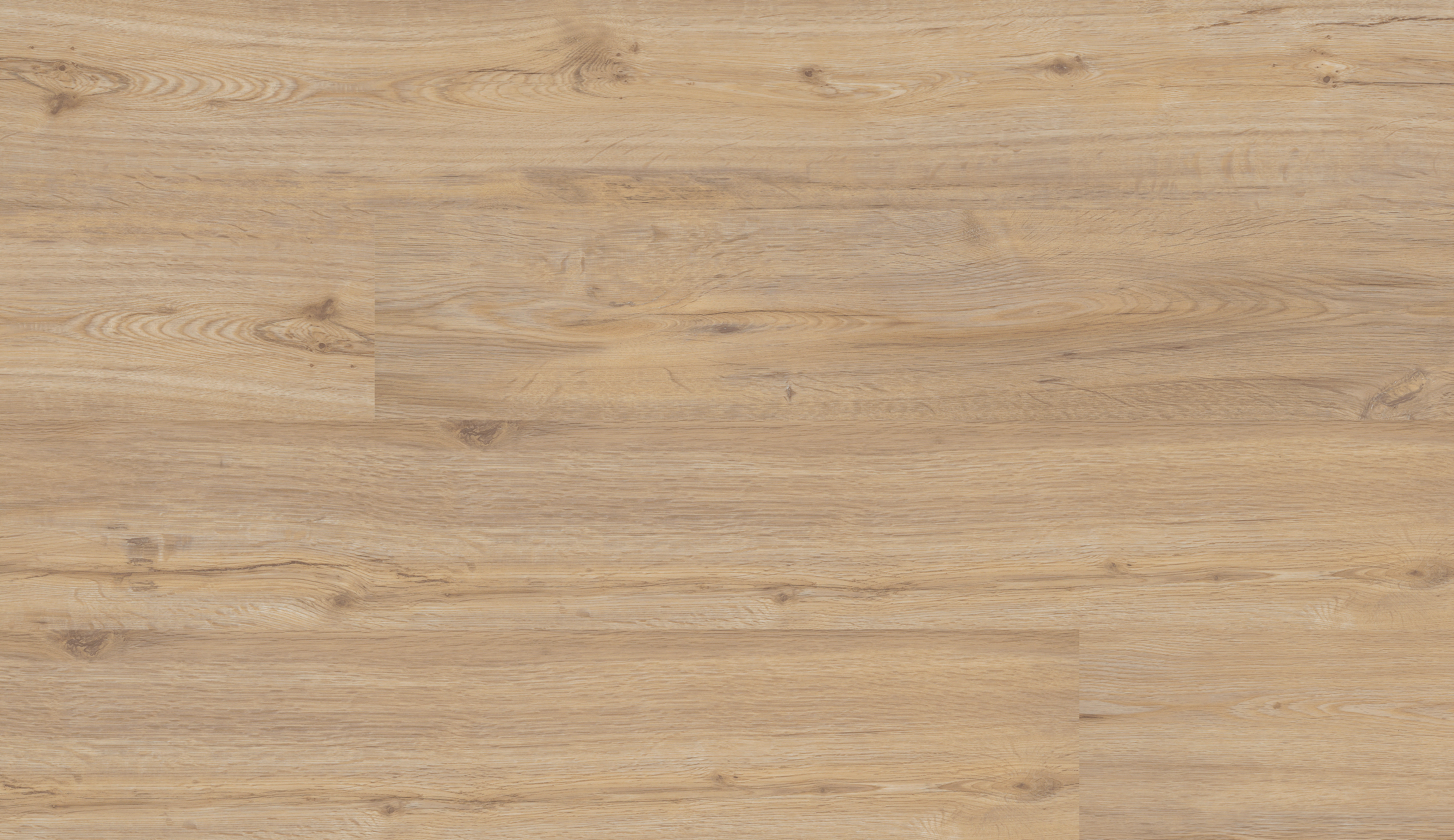 Click-Vinylboden Beitd. Eiche hell ca.3,34m² im Pak.  B/L: ca. 24,2x124 cm pro Paket Beitd. Eiche hell ca.3,34m² im Pak. - (24,20/124,00cm)