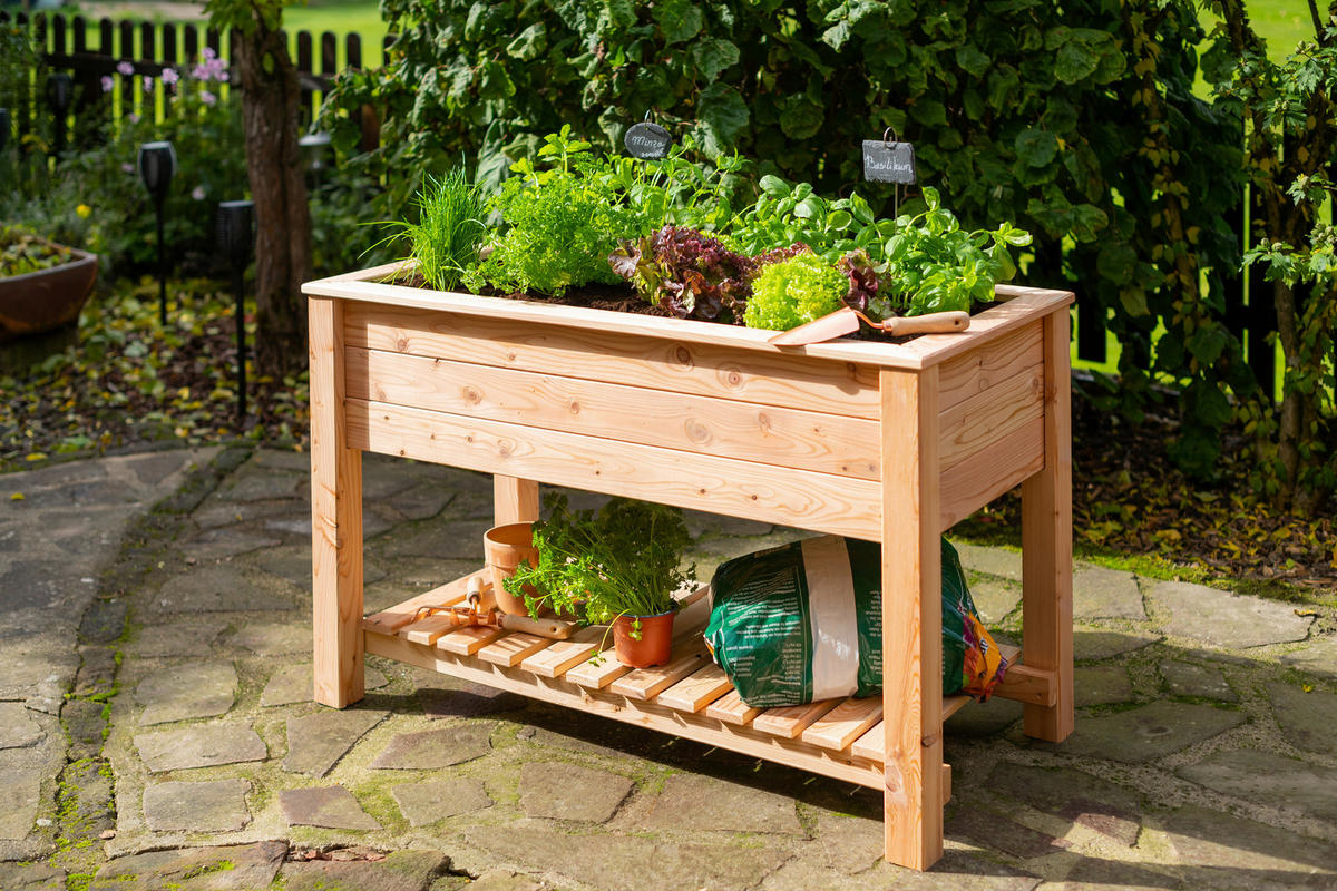 Westmann Stelzenhochbeet natur Holz B/H/T: ca. 120x75x65 cm Stelzenhochbeet - natur (120,00/75,00/65,00cm) - Westmann