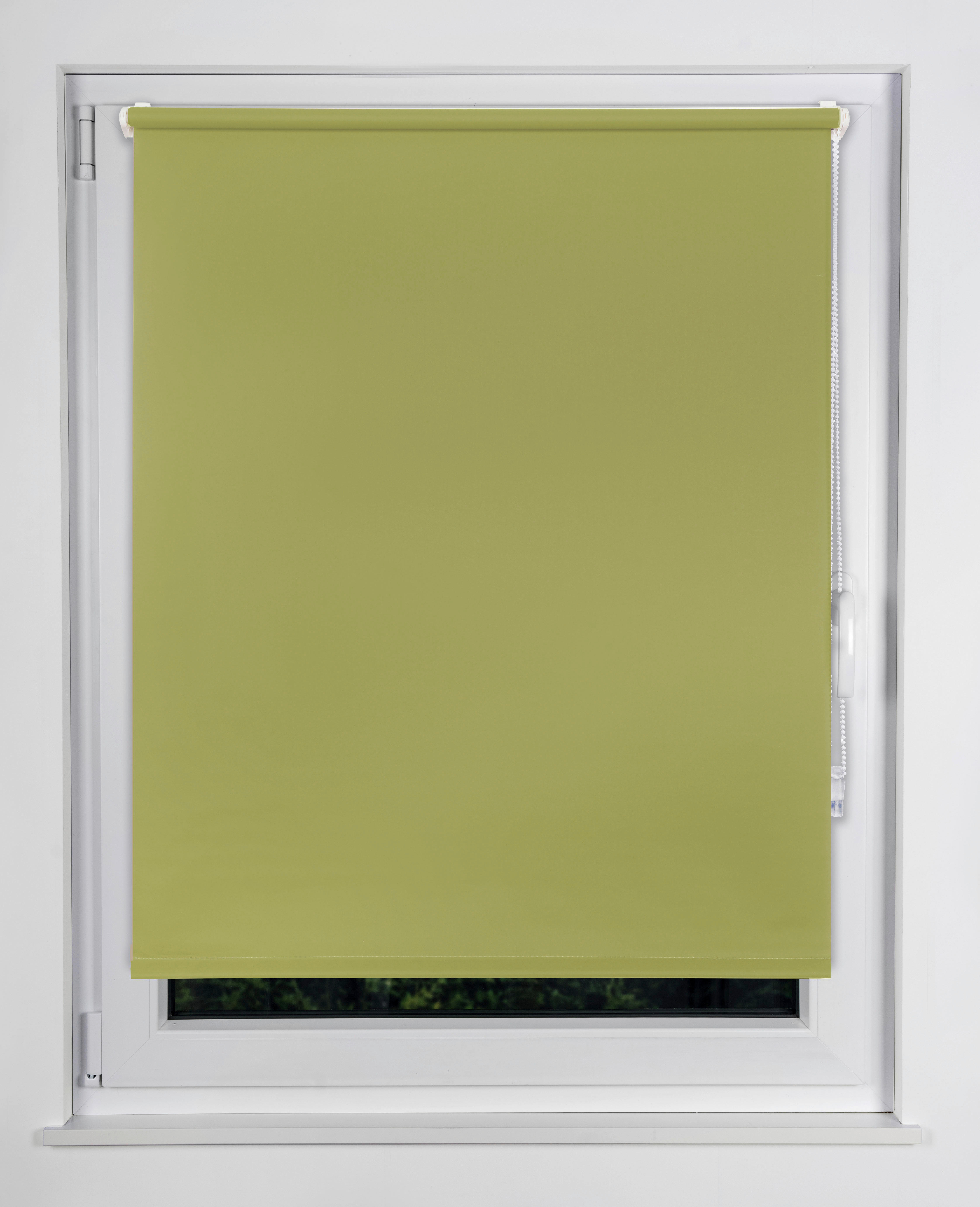 Tageslichtrollo zum klemmen grün B/L: ca. 60x160 cm Rollo_Tageslicht_Klemmfix_Win - grün (60,00/160,00cm)