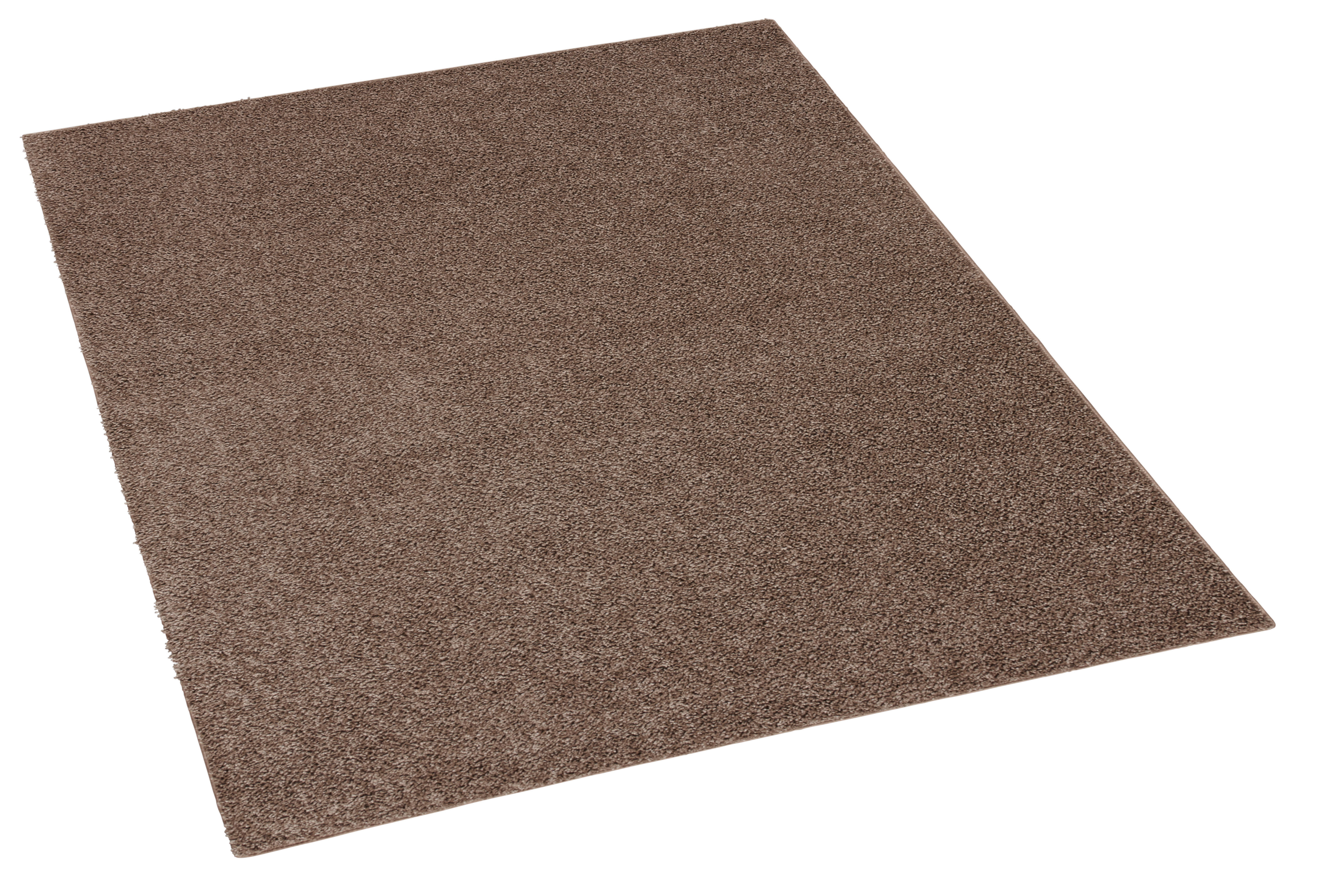 Teppich Tampa taupe B/L: ca. 115x170 cm