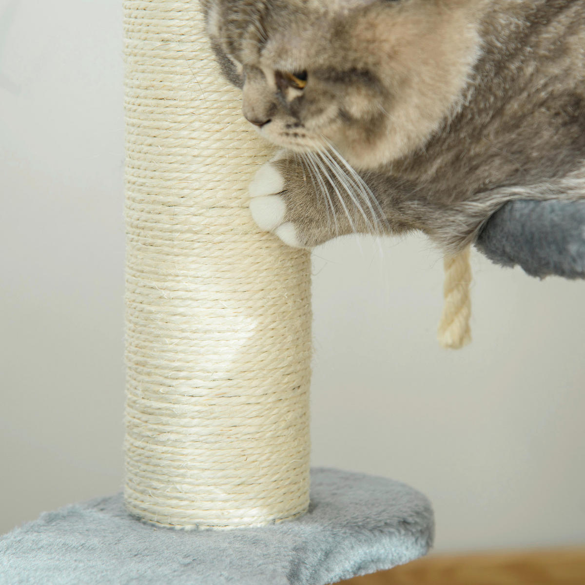 PawHut Katzen-Zubehör grau Polypropylen B/H/L: ca. 40x40x65 cm Katzenbaum - grau (65,00/40,00/40,00cm) - PawHut