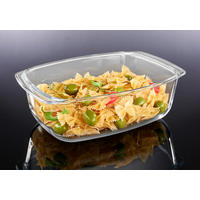 Auflaufform Glas B/L: ca. 17x26,7 cm Auflaufform_Wellco - klar (17,00/26,70cm)