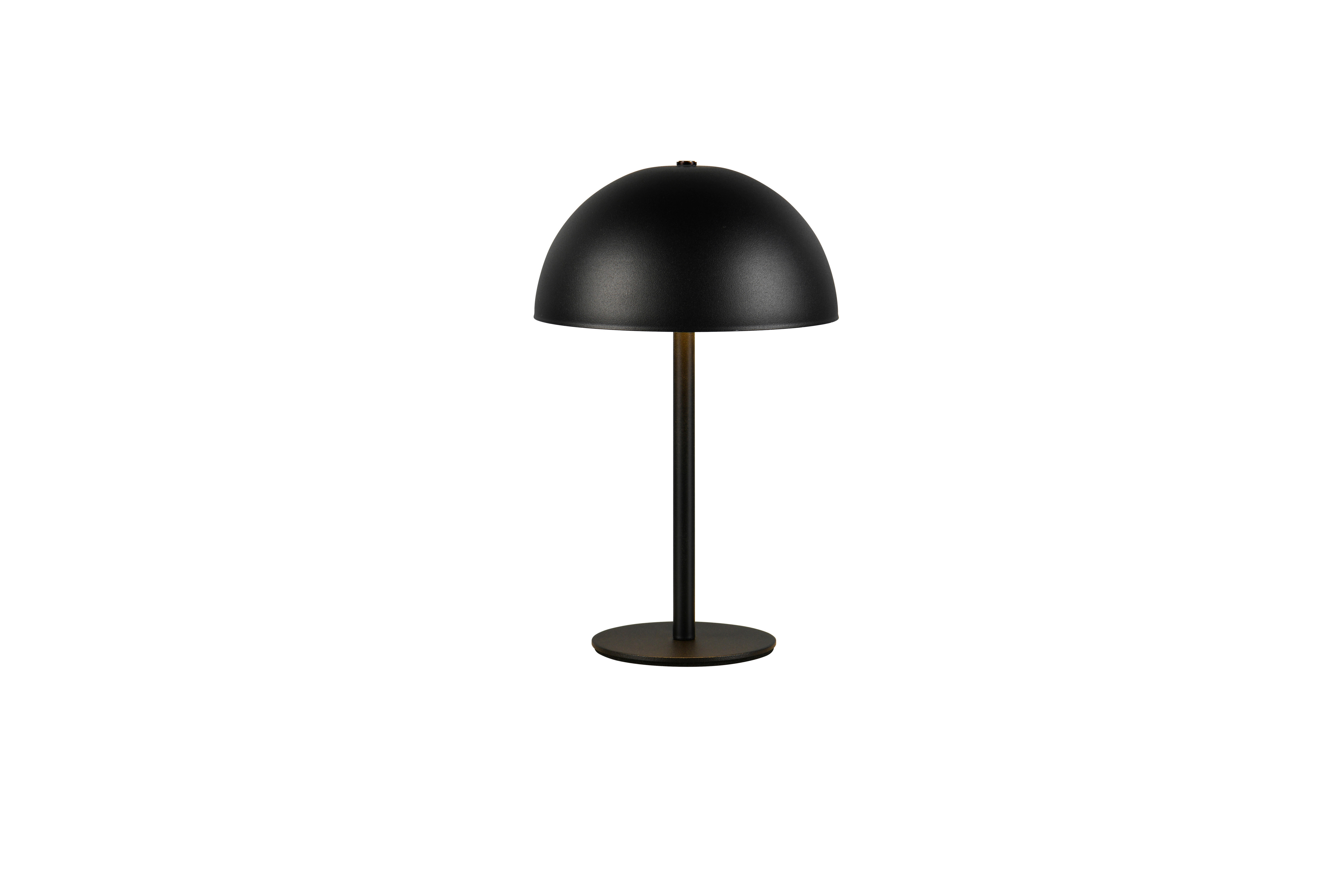 Reality LED Tischleuchte MUNOZ mattschwarz Metall H: ca. 21 cm 1 Brennstellen Munoz - mattschwarz (21,00cm) - Reality