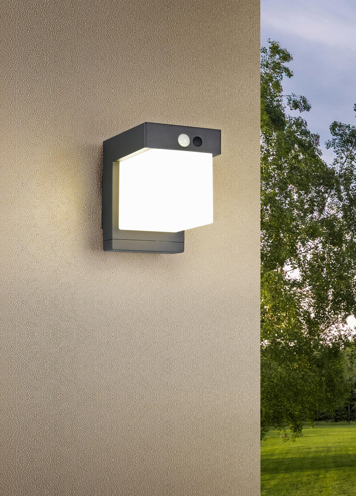 Solar-Außenwandleuchte mattschwarz B/H: ca. 1x14 cm COLOMBO - mattschwarz (1,00/14,00cm) - Reality