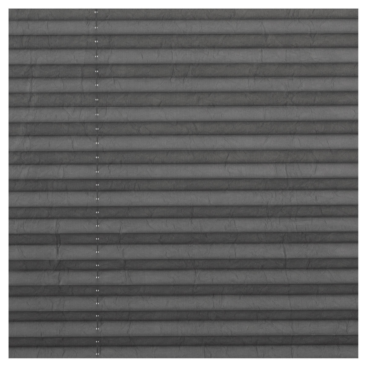 LICHTBLICK Spannplissee hellgrau B/L: ca. 50x130 cm Plissee_Klemmfix - hellgrau (50,00/130,00cm) - LICHTBLICK