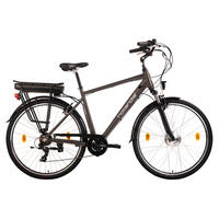Hollandia City E-Bike Zagon KS187E 28 Zoll Rahmenhöhe 53 cm 6 Gänge anthrazit anthrazit ca. 250 W ca. 36 V ca. 28 Zoll Zagon - anthrazit - Hollandia