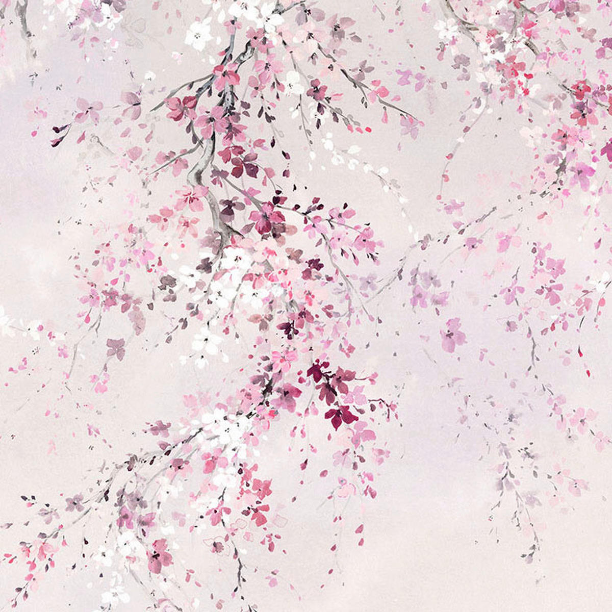 Komar Fototapete Kirschblüten B/L: ca. 300x280 cm Kirschblüten - (300,00/280,00cm) - Komar