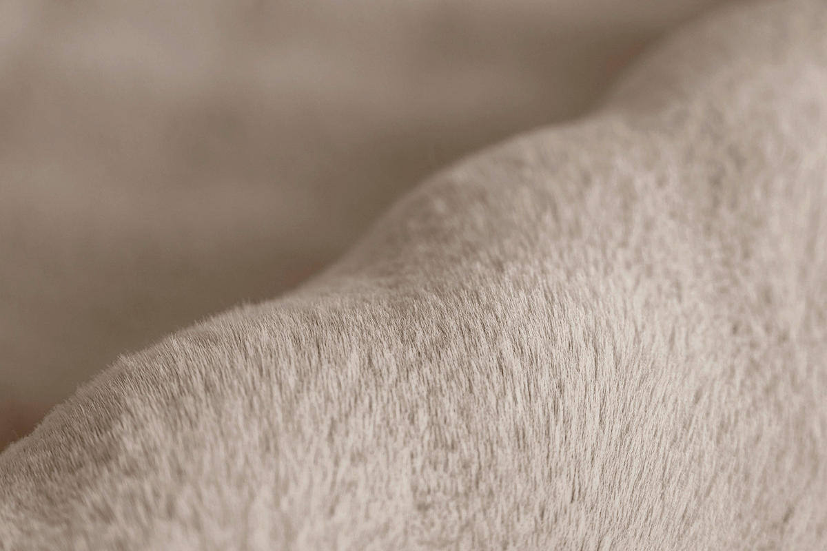 Padiro Hochflorteppich Hailey 125 beige B/H/L: ca. 200x3x290 cm Hailey 125 - beige (290,00/200,00/3,00cm) - Padiro