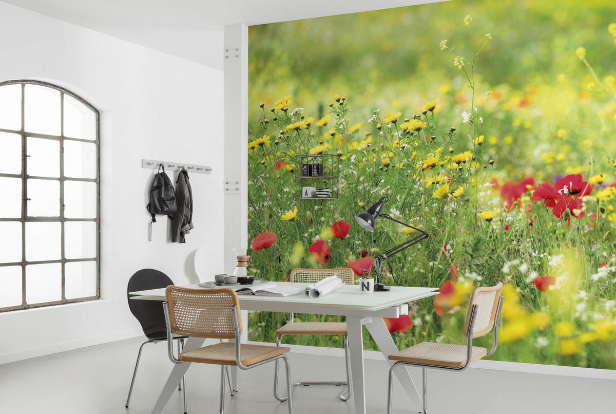 Komar Fototapete Wiesenzauber II B/L: ca. 450x280 cm Wiesenzauber II - (450,00/280,00cm) - Komar
