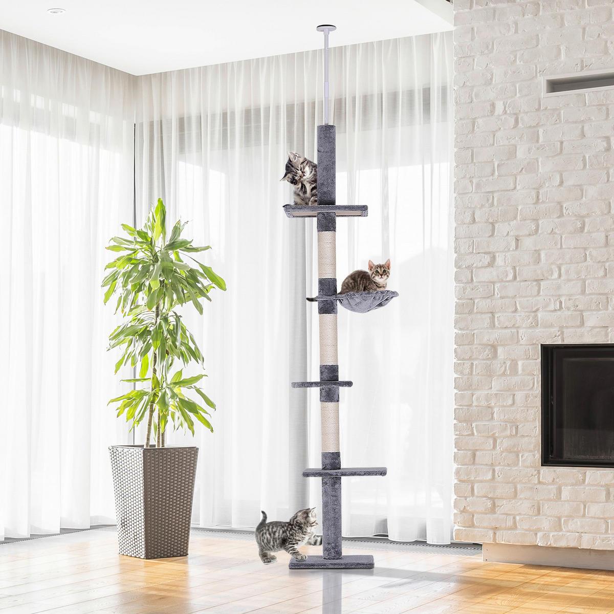 PawHut Kratzbaum grau Spanplatte B/H/L: ca. 34x260x40 cm Kratzbaum - grau (40,00/34,00/260,00cm) - PawHut