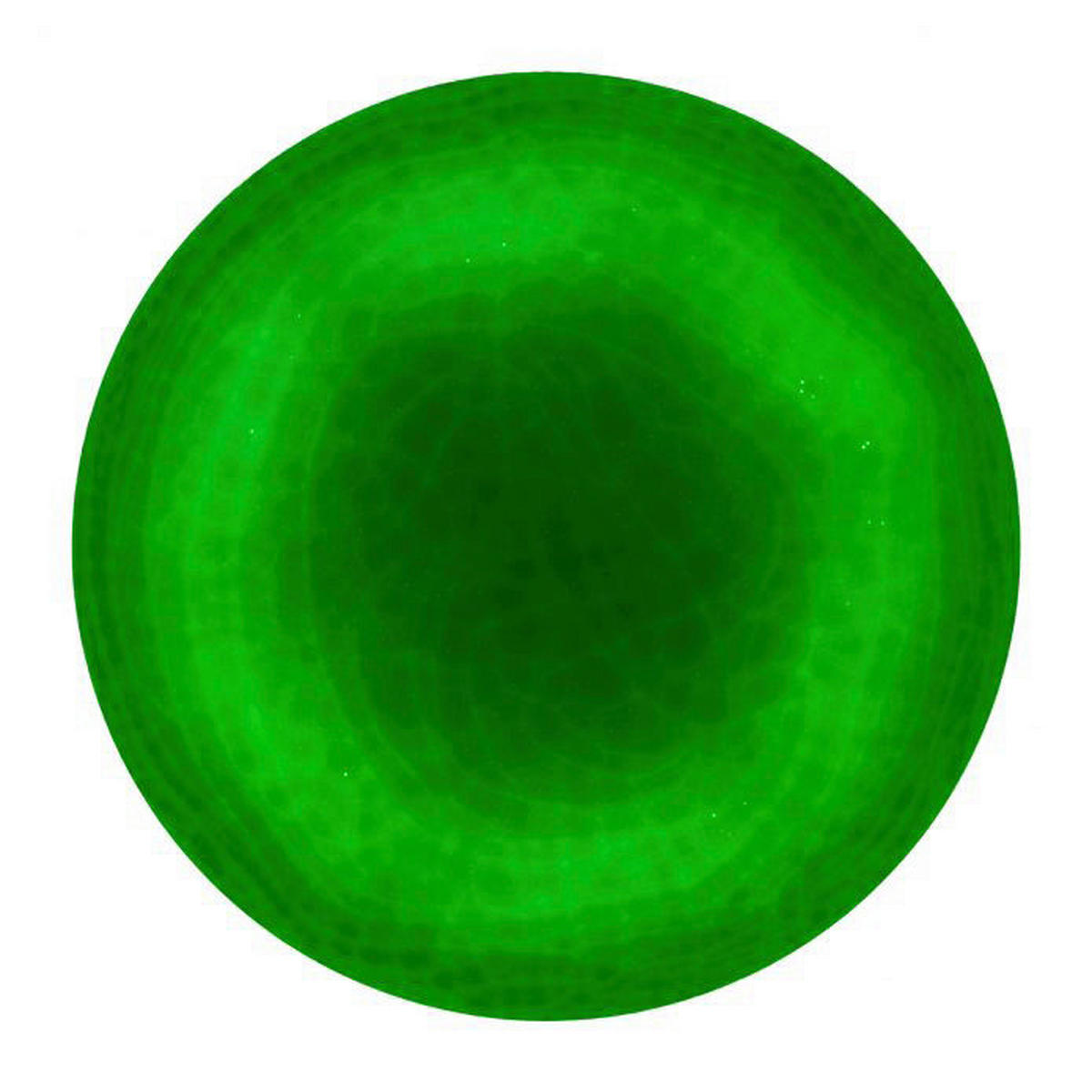 Näve Leuchten LED Deckenleuchte NV1374661 weiß Eisen Kunststoff H/D: ca. 7x38 cm null 1 Brennstellen Sligo - weiß (38,00/7,00cm) - Näve Leuchten