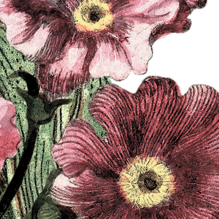 Komar Fototapete Paradis de Papillons B/L: ca. 400x250 cm Paradis de Papillons - (400,00/250,00cm) - Komar