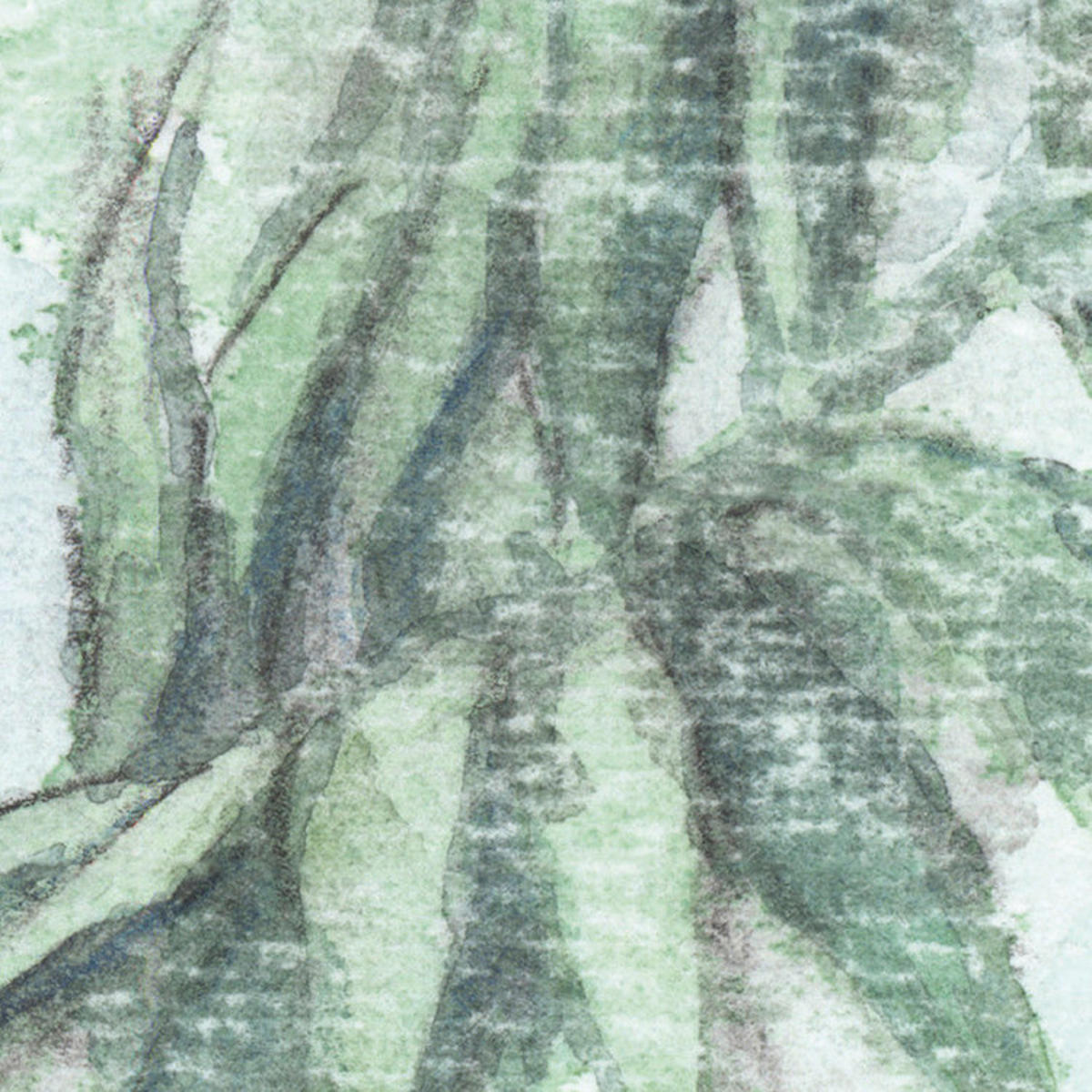 Komar Fototapete Silva B/L: ca. 350x250 cm Silva - (350,00/250,00cm) - Komar