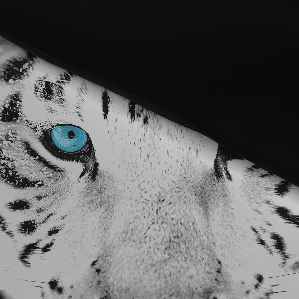 Microfaser Bettwäsche Wendebettwäsche_Microfaser Tiger - weiß/schwarz (135,00/200,00cm) - beau rêve